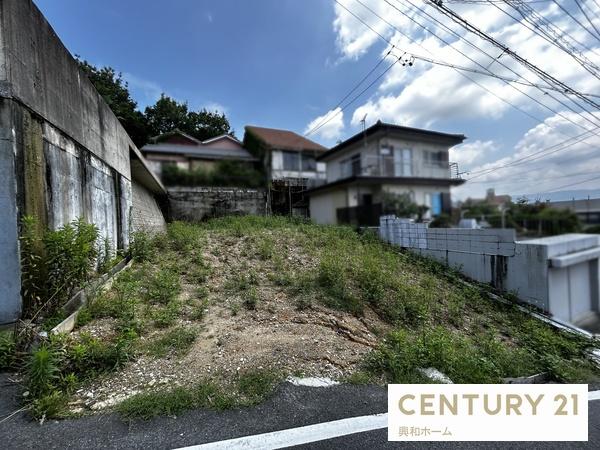 瀬戸農地さま専用 筑水キャニコム【フルーティまさお】シリーズまだまだ在庫