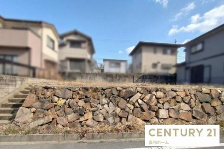 ���n�y�n�ʐ^�@-