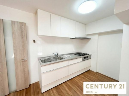 �L�b�`���@�y�V�X�e���L�b�`���V�K�����z�@���B�e�󋵂���H�ɂ��A���ۂ̐F���ƈقȂ�ꍇ������܂�