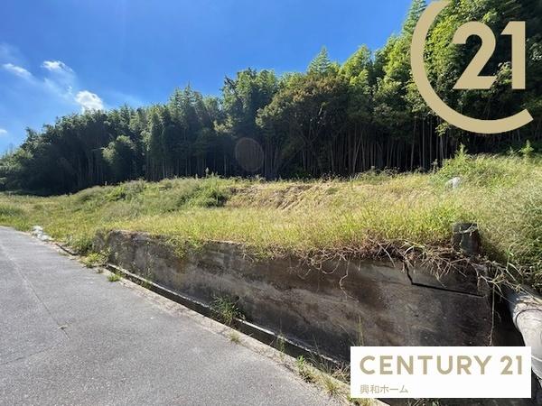 瀬戸農地さま専用 瀬戸農地さま専用 瀬戸農地さま専用 瀬戸農地 アットホーム