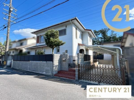 nynʐ^@yiz1980~ynʐρF217.97[gi65.93؁jؒPF30.0~ssvFsX恜nځFn؂F60eϗF200