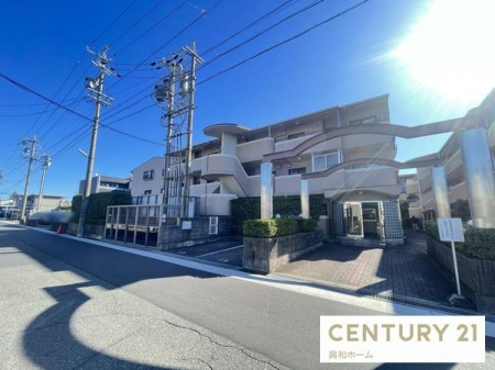 ���̑����n�@-