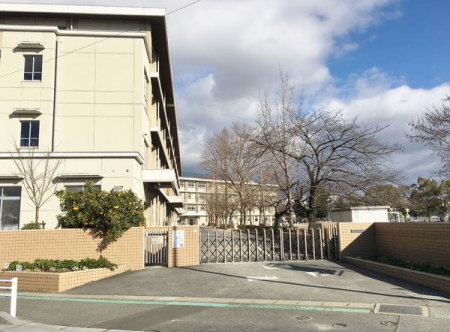 ���ӊ��@-