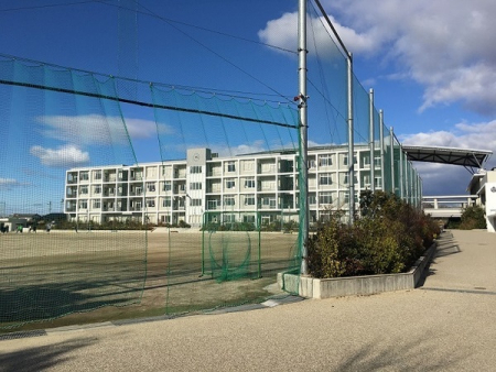 ���ӊ��@-