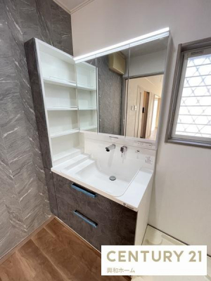 ���ʑ�E���ʏ��@�y���ʉ��ϑ�E�h���p���V�K�����z