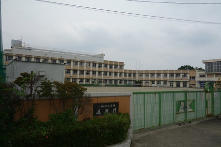 ���ӊ��@-