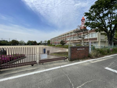 ���ӊ��@-