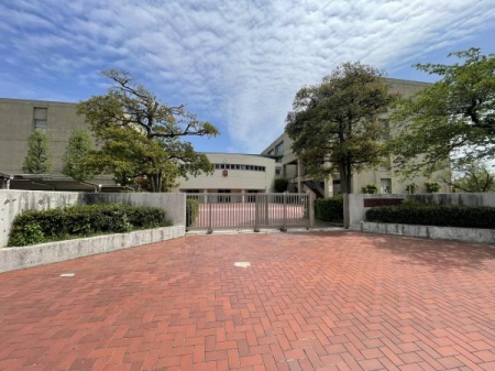 ���ӊ��@-