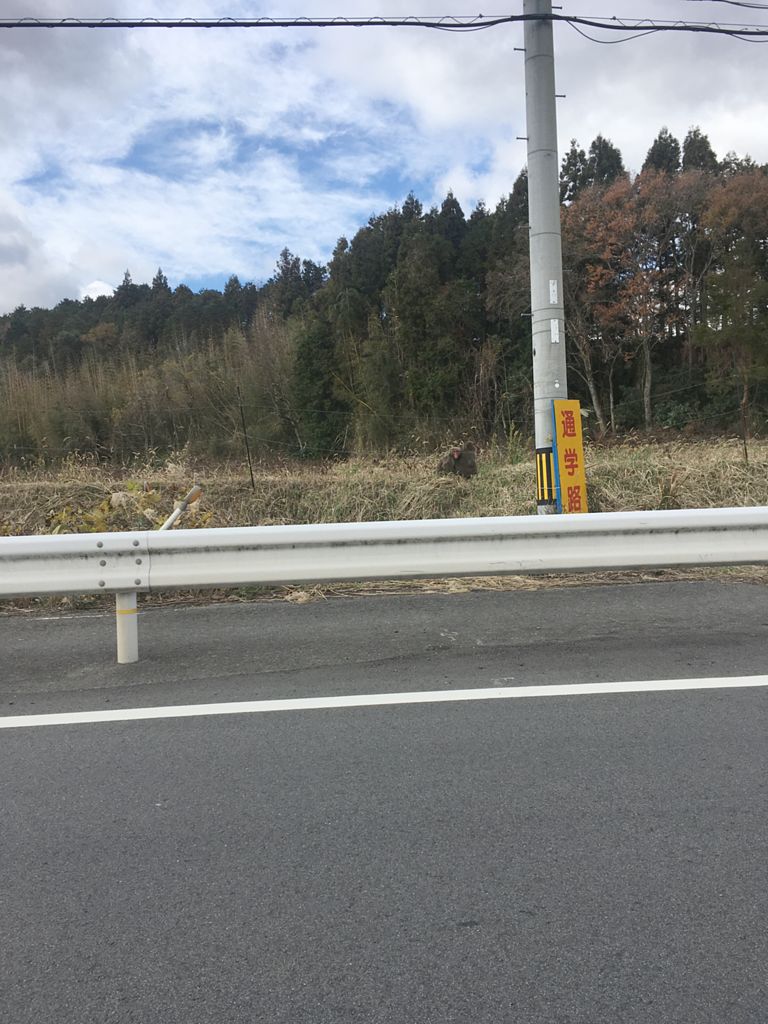 珍しい光景【2018,12,27更新】