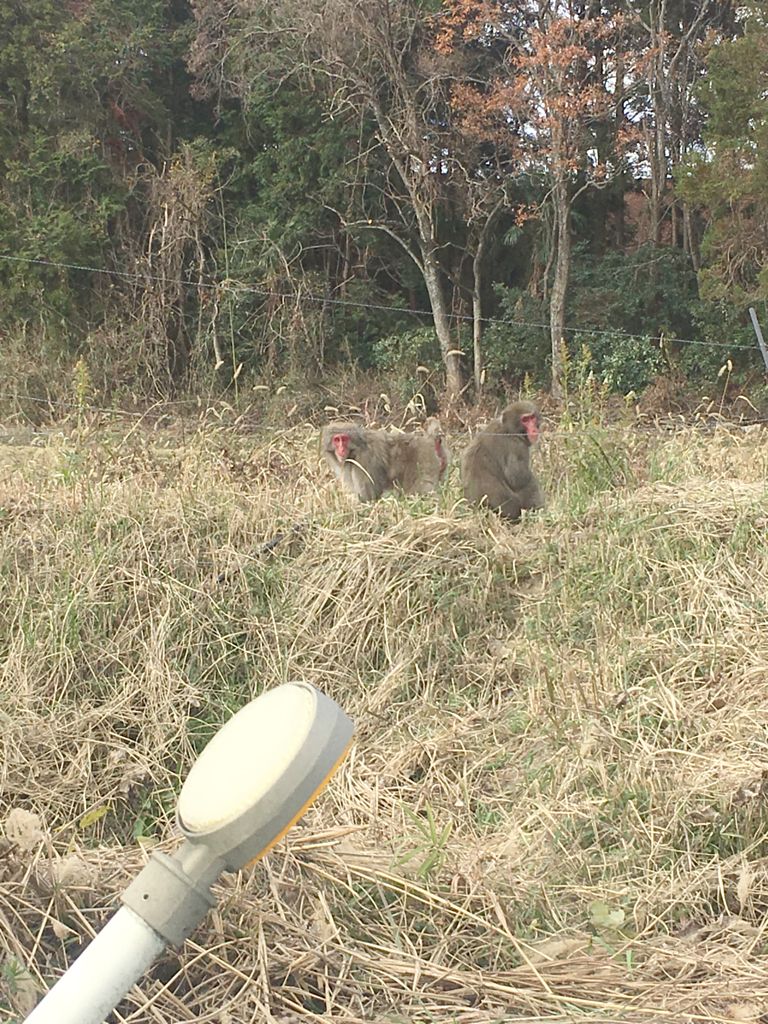 珍しい光景【2018,12,27更新】